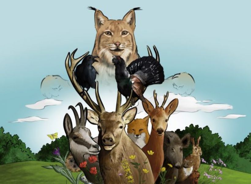 Atelier : Sur les traces du lynx bor�al