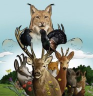 Atelier : Sur les traces du lynx bor�al