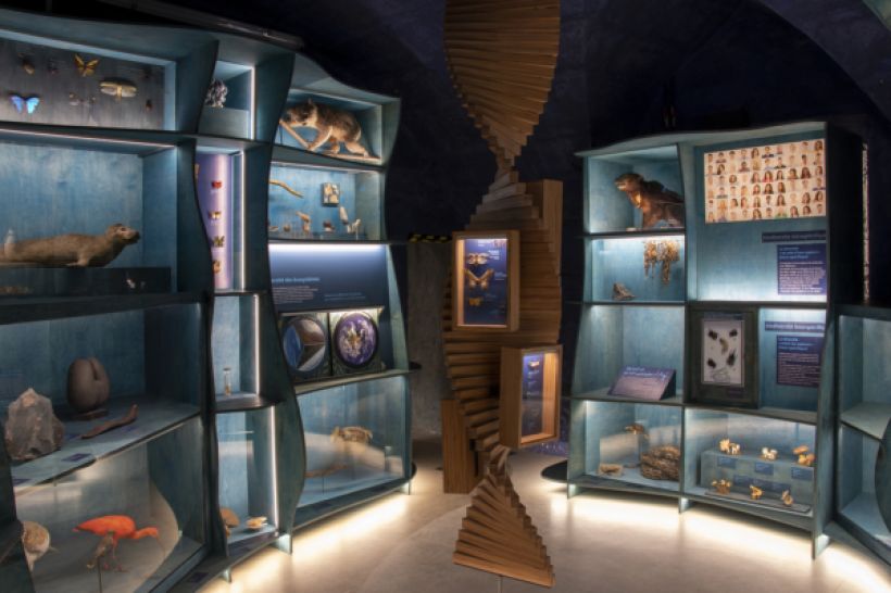 Visite guid�e du Naturalium