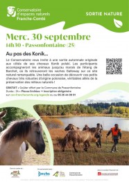 Sortie nature : Au pas des Konik