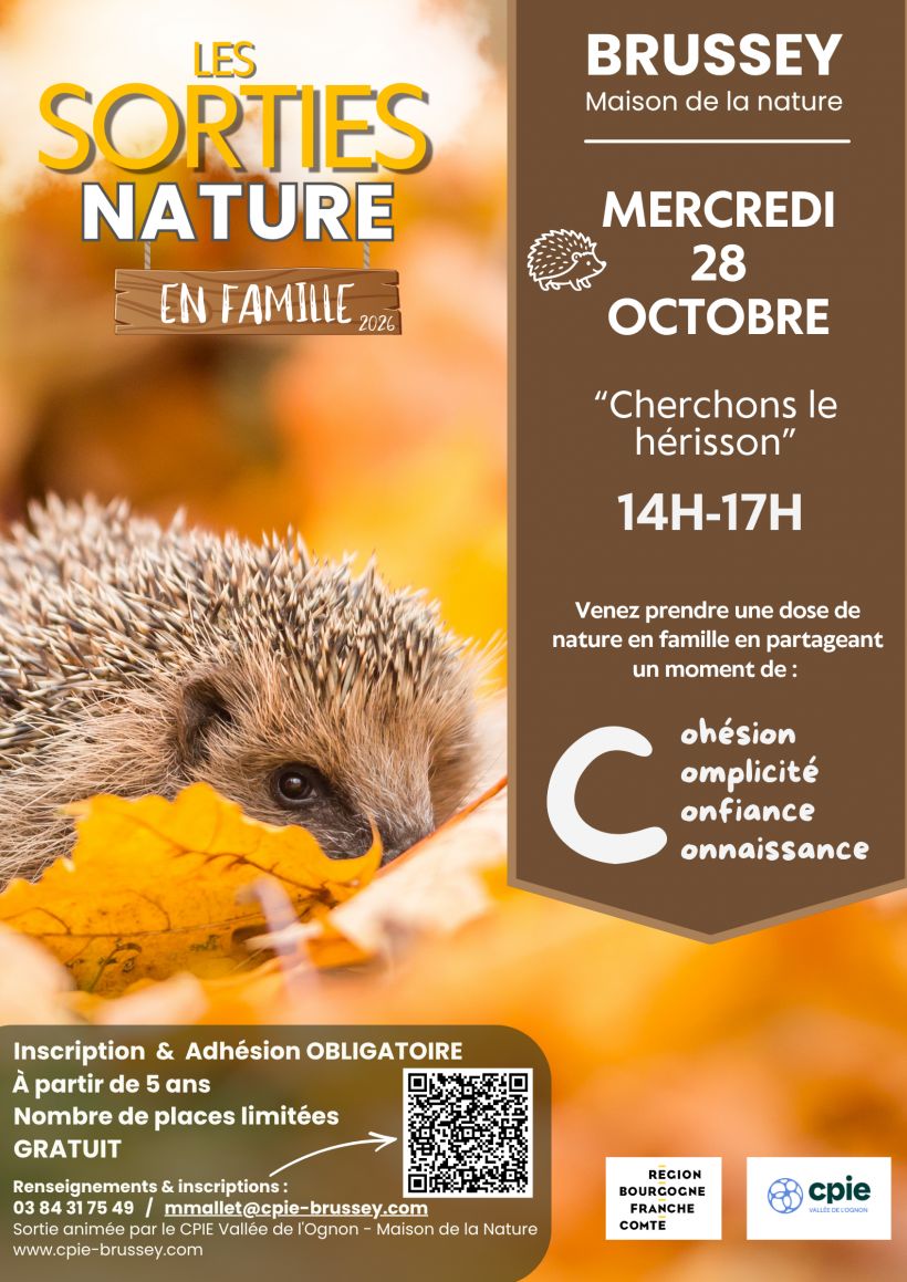 Sortie nature : cherchons le h�risson