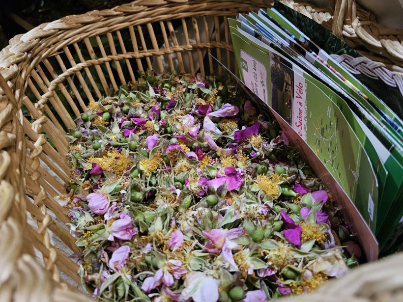OCTOBRE ROSE - Atelier cosm�tique naturel