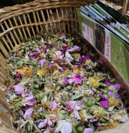 OCTOBRE ROSE - Atelier cosm�tique naturel