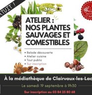 Atelier plantes sauvages et comestibles