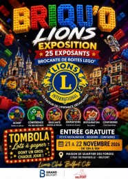 5�me Briqu'O Lions