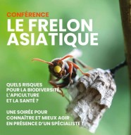 Conf�rence sur le frelon asiatique