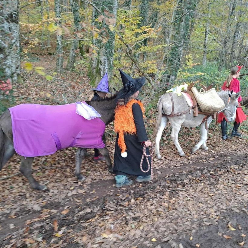 Halloween avec les ânes