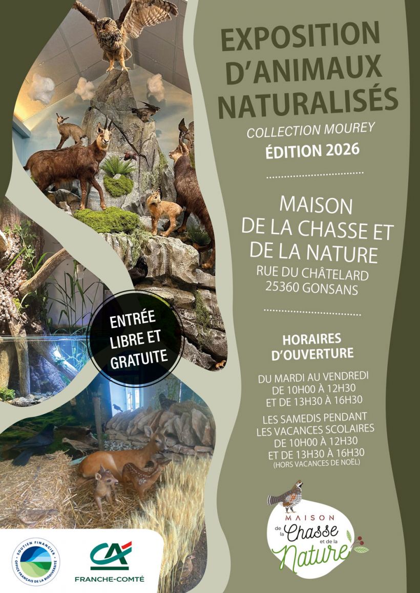 Exposition d'animaux naturalis�s