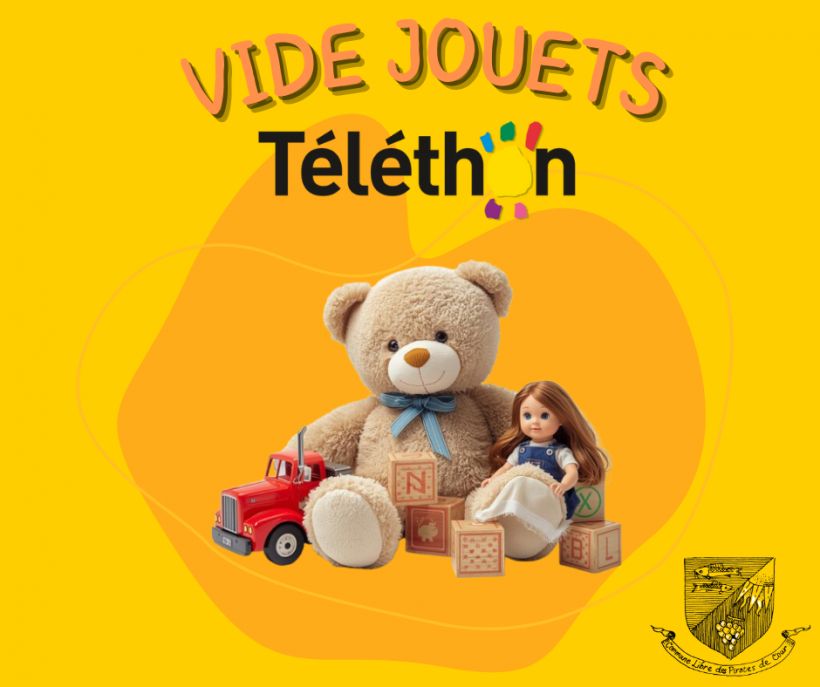Vide jouets