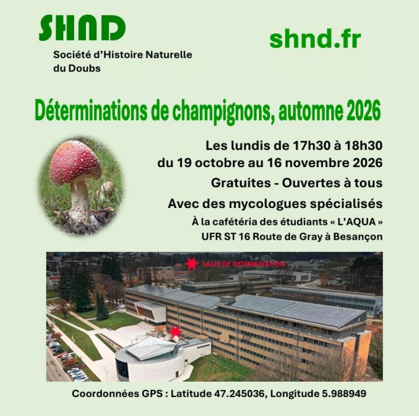 D�termination de champignons