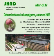 D�termination de champignons