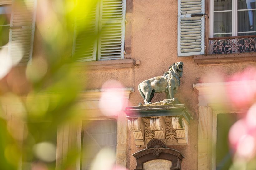 Visite : Sur la trace des lions
