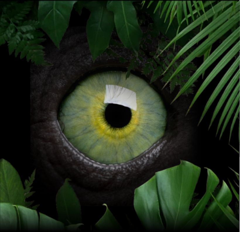 Visite : Entre nature et myst�re