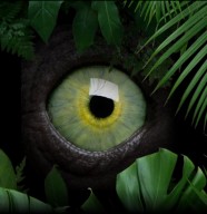 Visite : Entre nature et myst�re