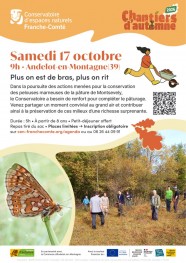 Chantier d'automne