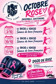 Initiation � la boxe fran�aise