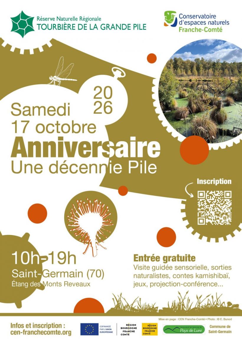Anniversaire Une décennie Pile
