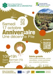 Anniversaire Une d�cennie Pile