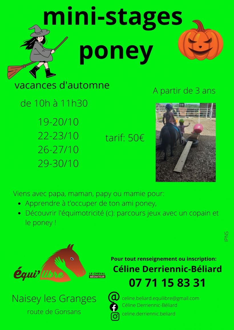 stages poney et d�couverte de l'�quimotricit�