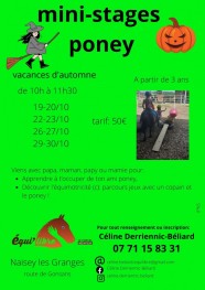 stages poney et d�couverte de l'�quimotricit�