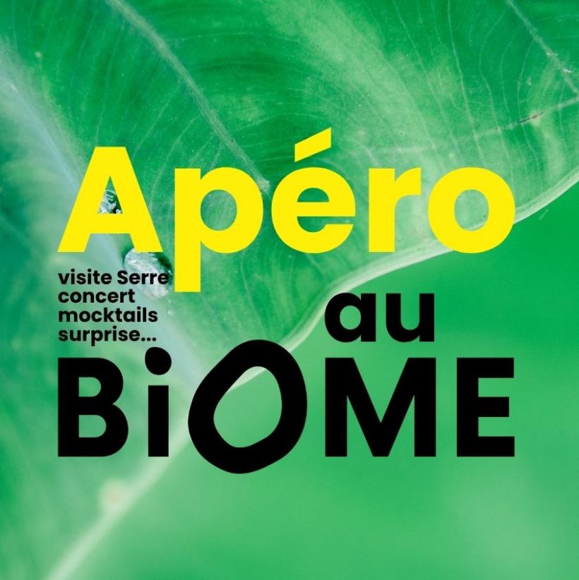 Ap�ro au Biome