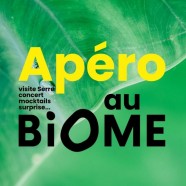 Ap�ro au Biome