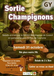 Sortie champignons