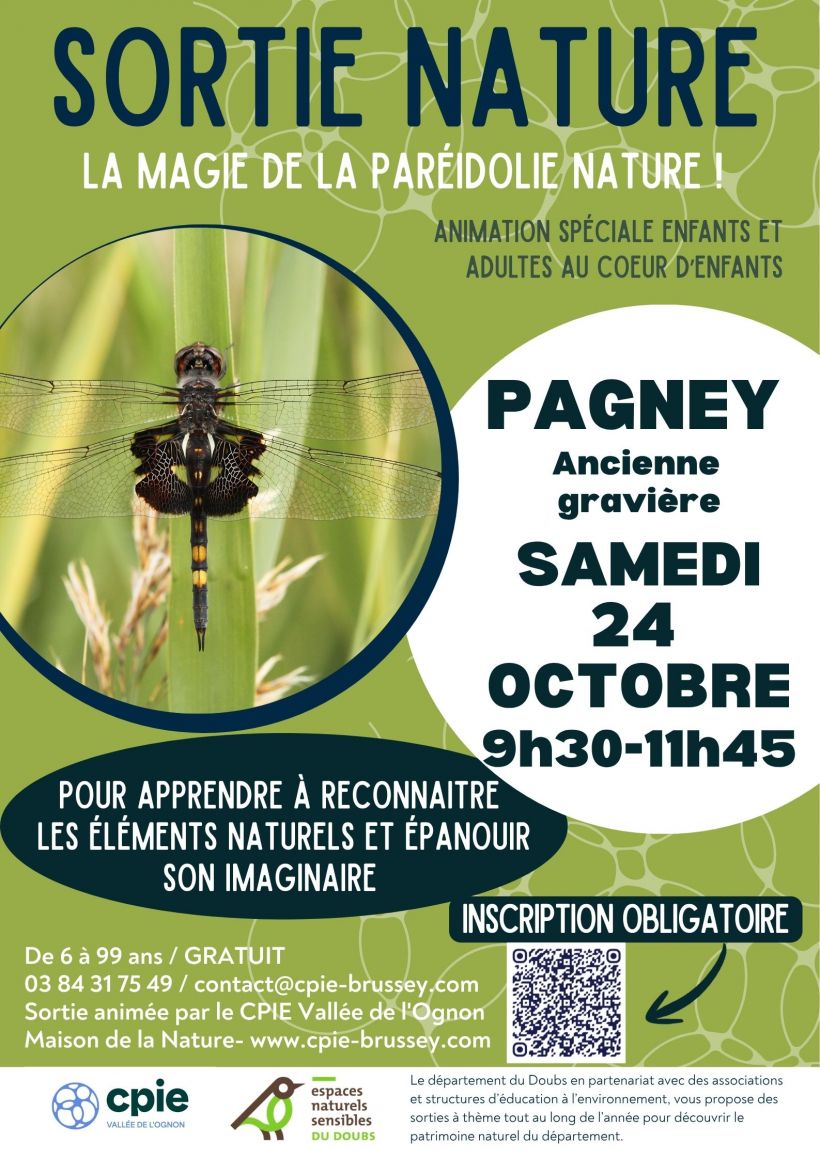 SORTIE NATURE : La magie de la paréidolie nature