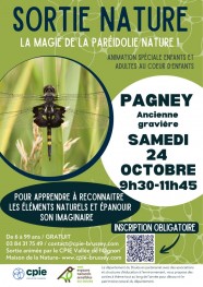 SORTIE NATURE : La magie de la paréidolie nature