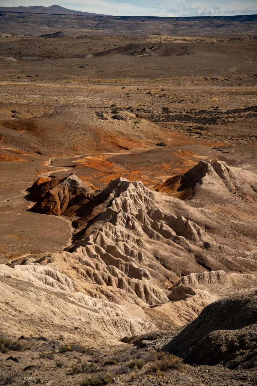 Rewilding Patagonia