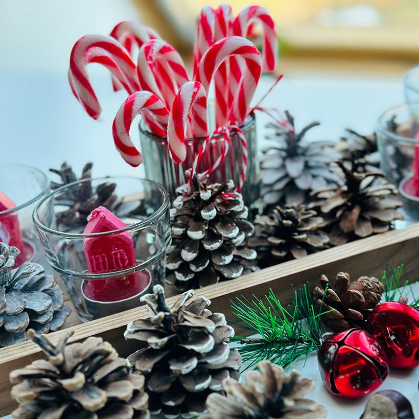 Bricolage en famille - Bougeoirs de No�l