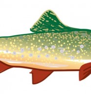 Pêche : Concours Carnassier pour le Téléthon