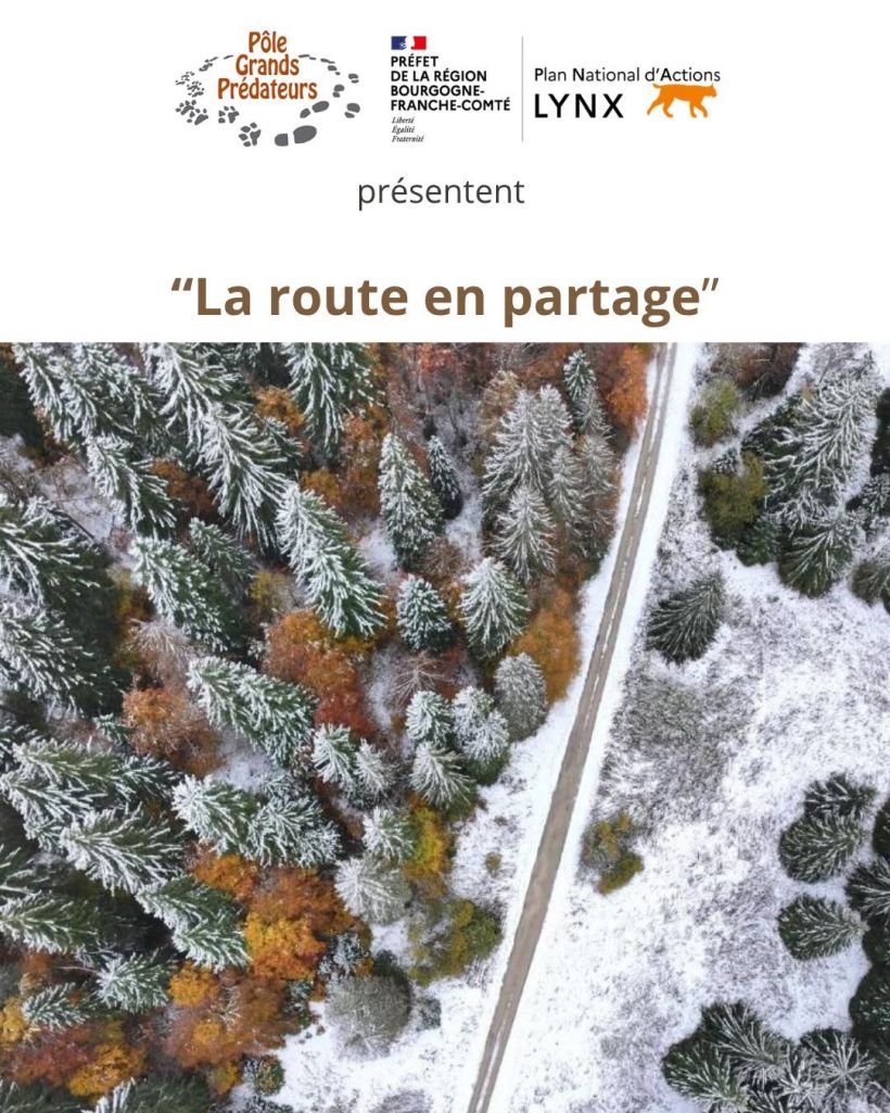 La route en partage