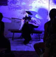 La valse des faucons