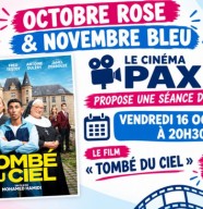 Tomb� du ciel