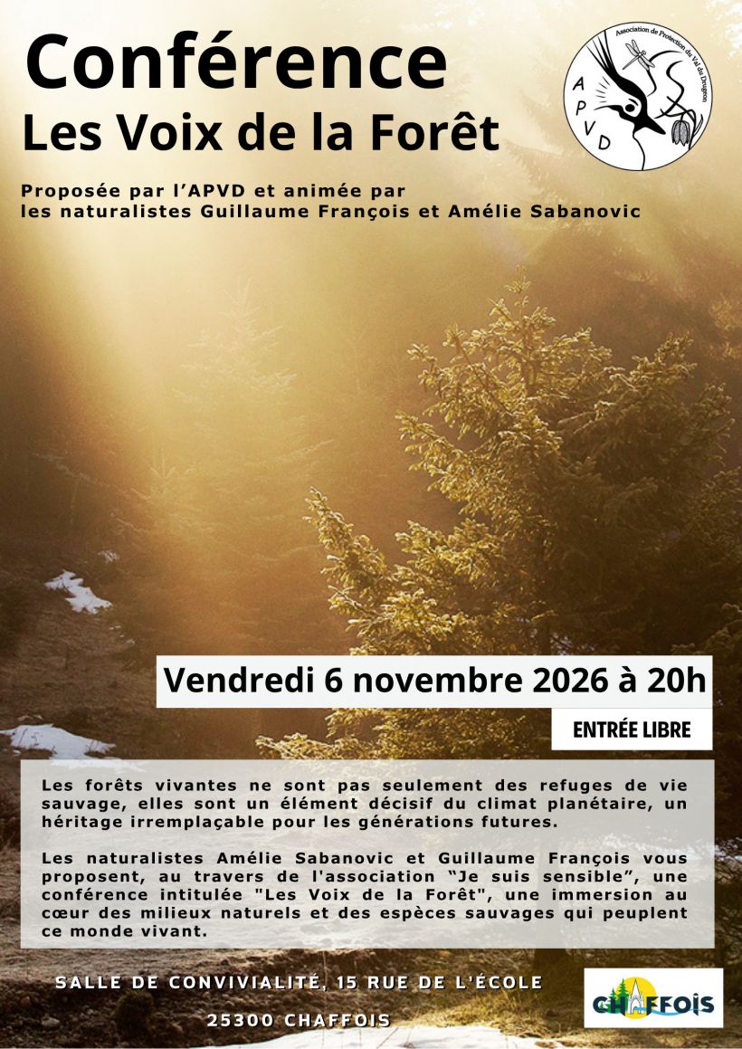 Conférence : Les Voix de la Forêt
