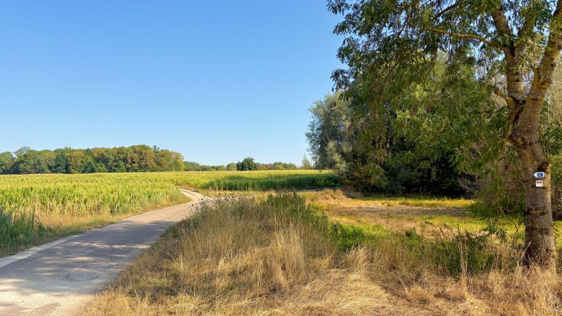 Visite : Découverte du chemin de Saint-Jacques de Compostelle