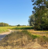 Visite : D�couverte du chemin de Saint-Jacques de Compostelle