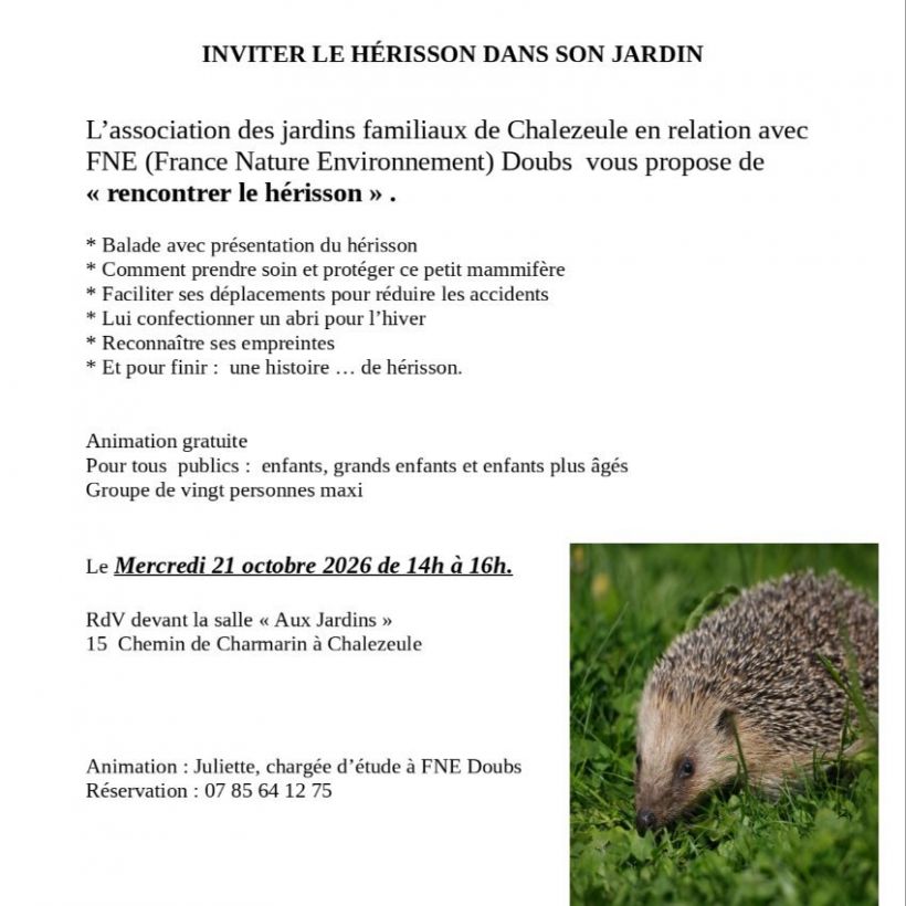Inviter le h�risson dans son jardin