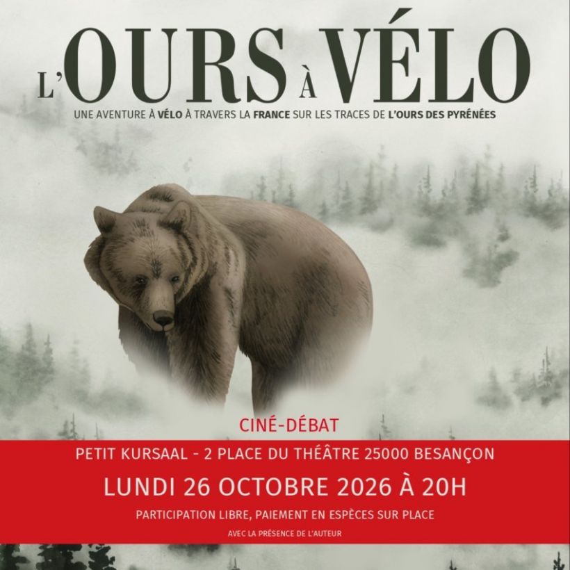 L'Ours à Vélo