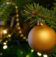 Ateliers : Autour du sapin de No�l