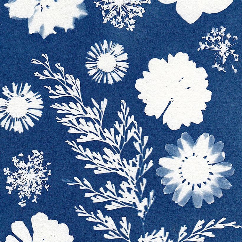 Bricolage en famille : Cyanotype