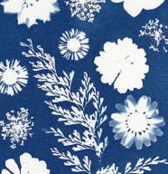 Bricolage en famille : Cyanotype