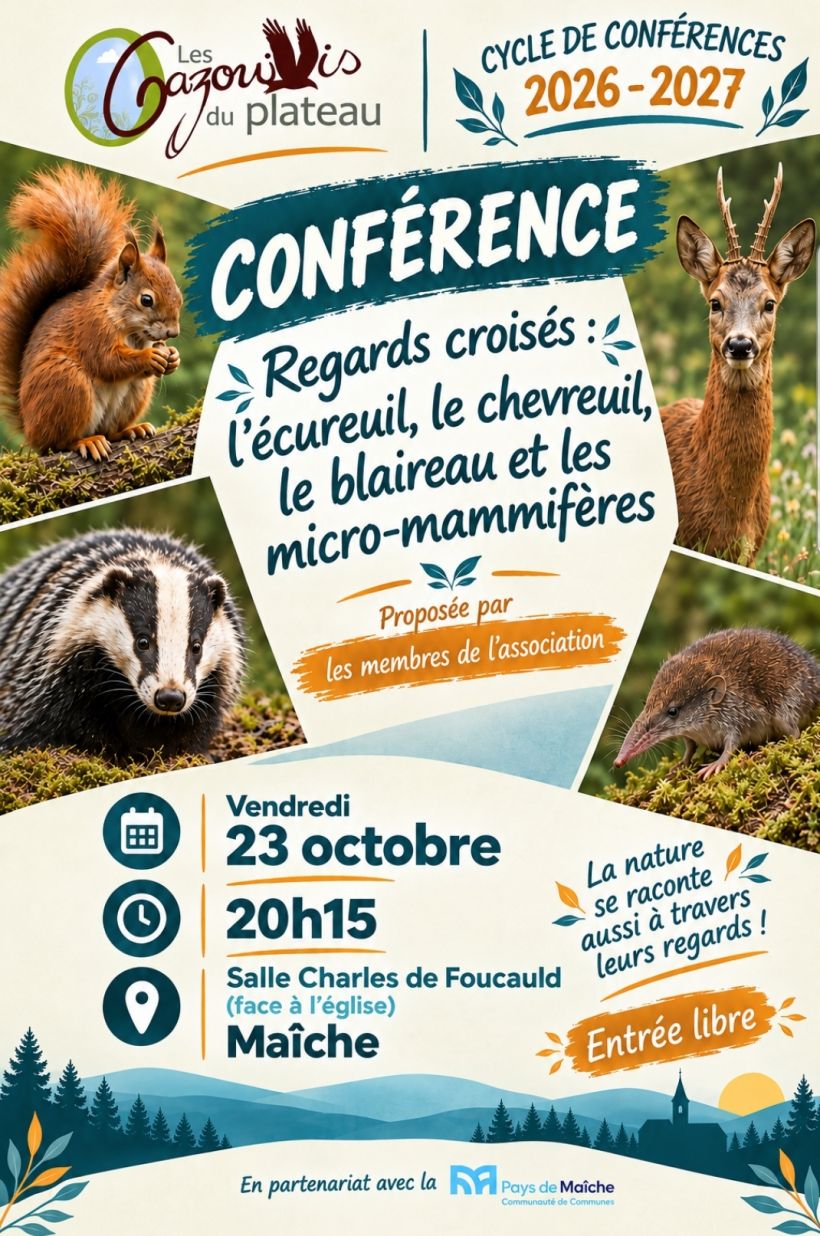 Conférence : Regards croisés