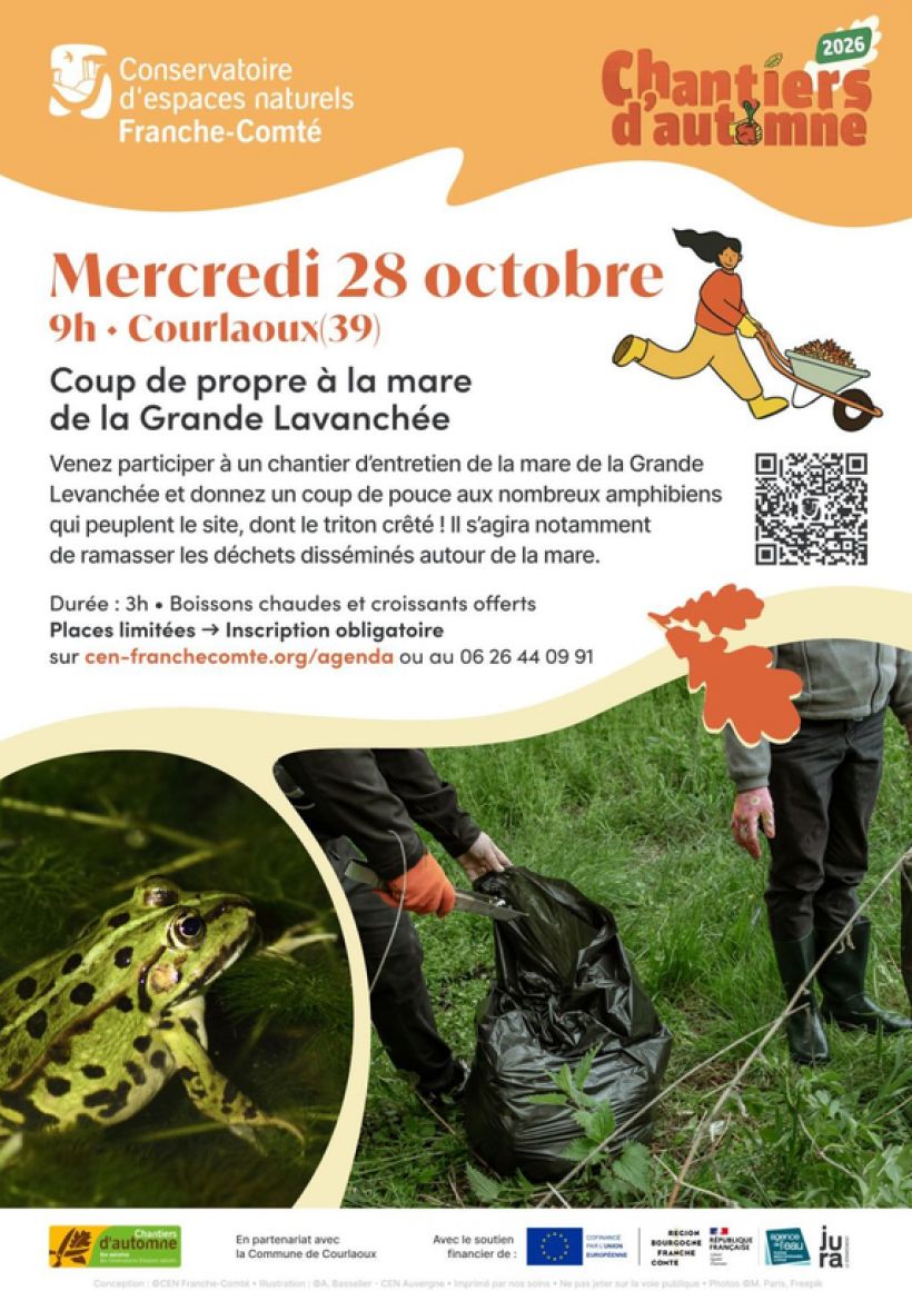 Chantier d'automne participatif