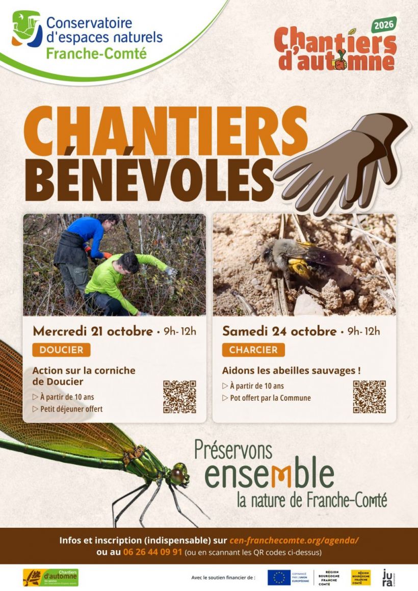Chantier bénévole participatif d'automne