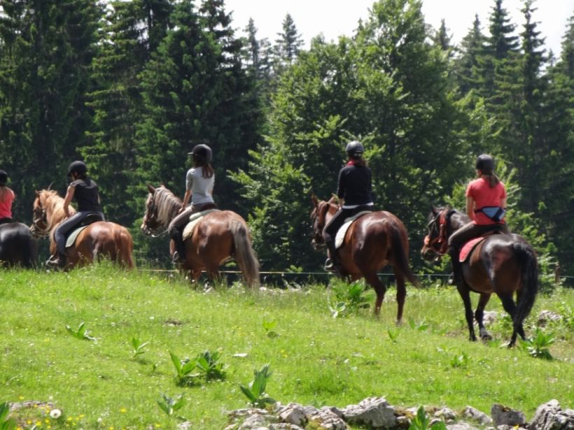 Randonnées à cheval