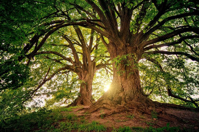 atelier art et nature
