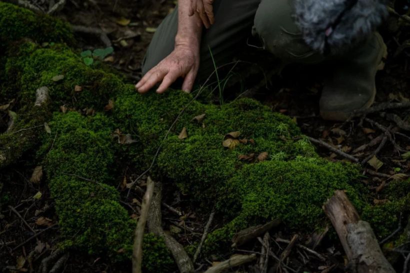 Discussion "Au-delà du champ d'arbre : un autre regard sur la forêt"