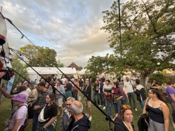 Ruff'Estival